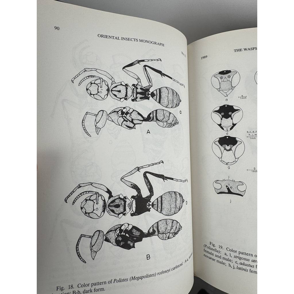 The Social Wasps of India & Adjacent Countries 1989 Hardcover Entomology